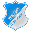 Tsg hoffenheim.gif